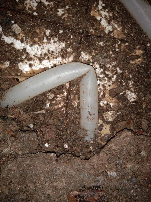 蕲春堵点精准查找